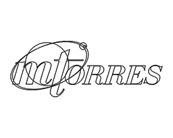 Transparent line MTorres logo