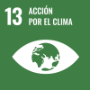 13. climate action