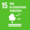 15. Life of terrestrial ecosystems